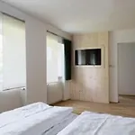 Hotel Hartl & Hartl Stadl